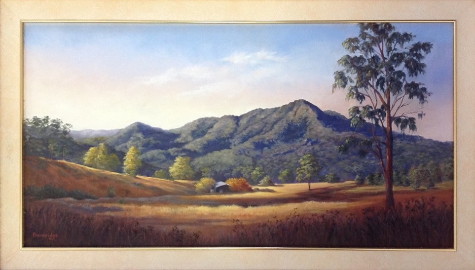 Oil Painting by Maureen Bainbridge titled Afternoon Glow – Dorrigo