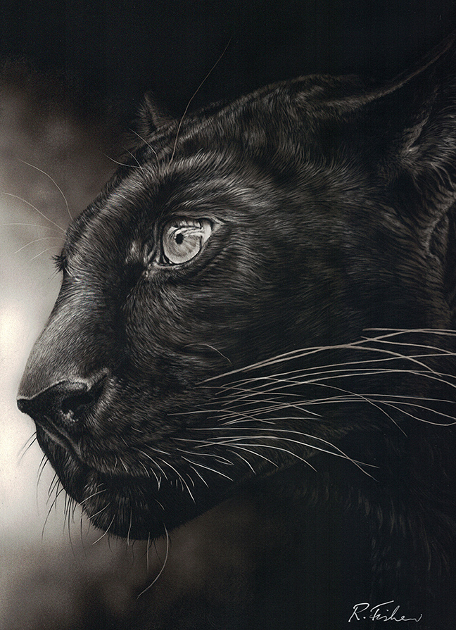 Scratchboard Painting by Rikki Fisher titled Dark Intent