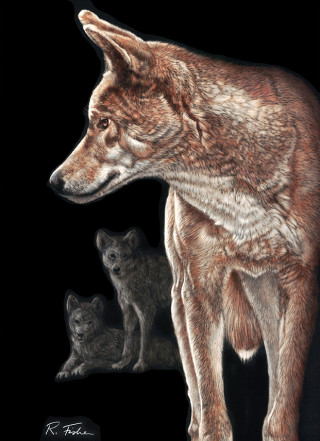 A Scratchboard painting by Rikki Fisher in the Realist style  depicting Animals and Dogs with main colour being Black Brown and Cream and titled Leader of the Pack