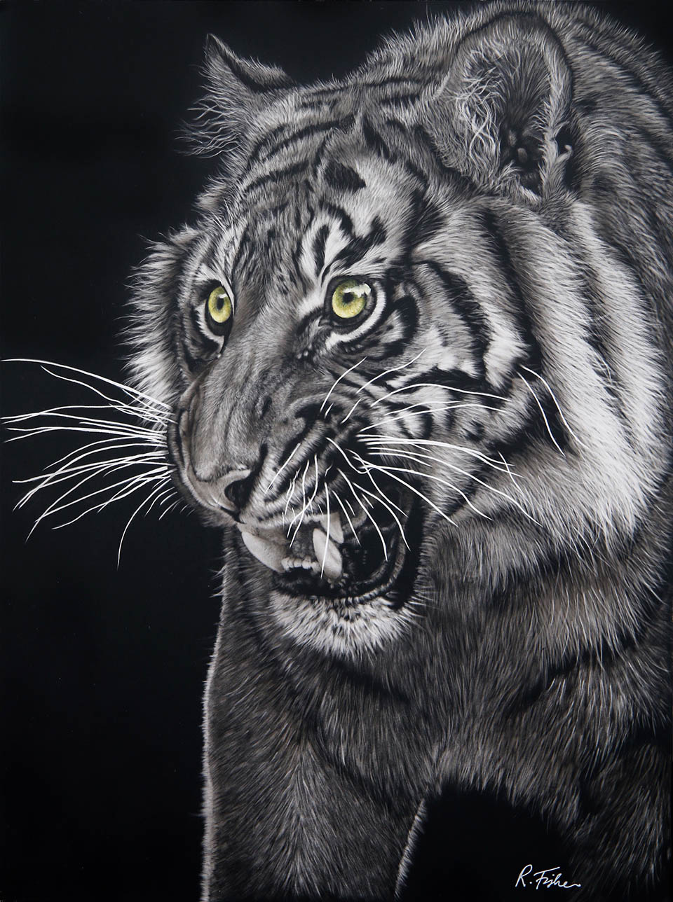 Scratchboard Painting by Rikki Fisher titled Menacing