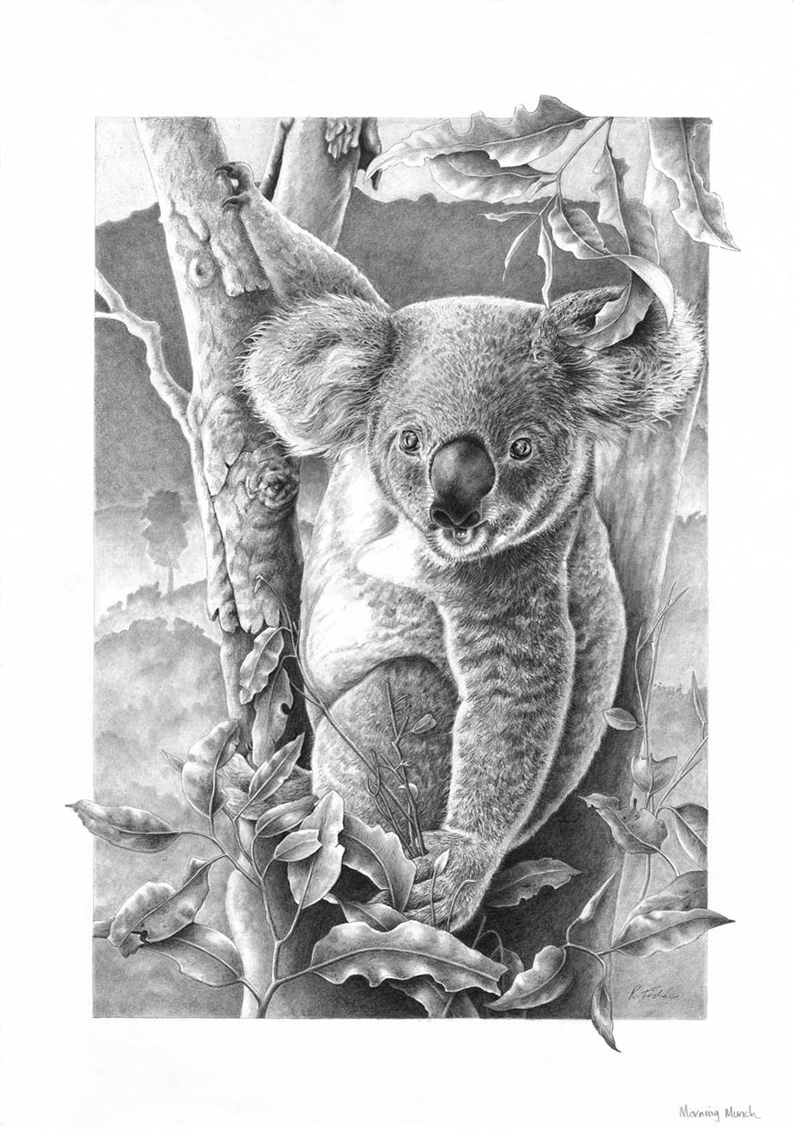 Scratchboard Painting by Rikki Fisher titled Morning Munch
