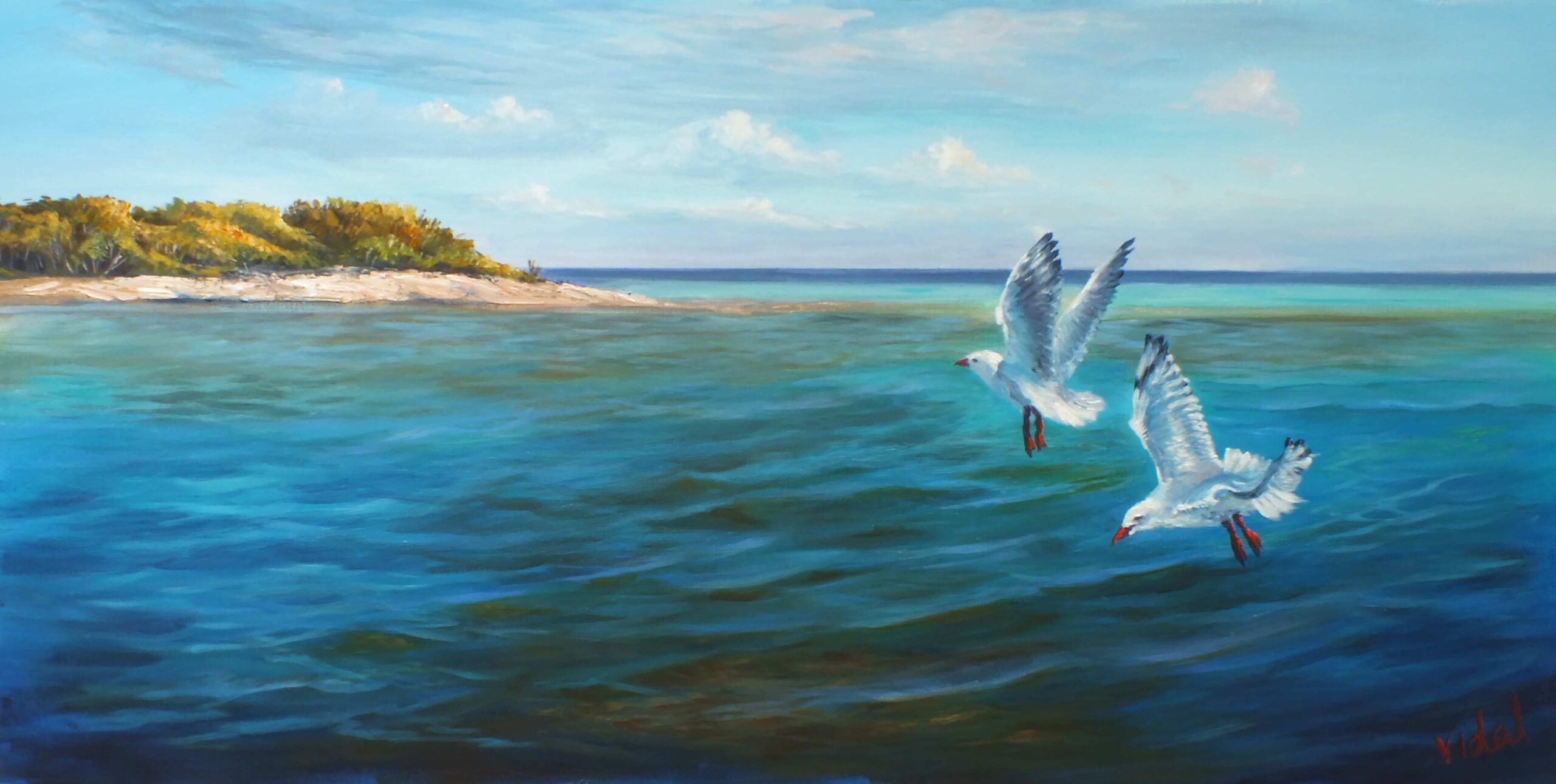 Oil Painting by Christopher Vidal titled On the reef - Lady Musgrave Island, QLD