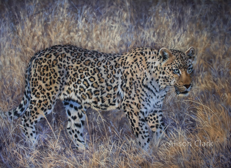 Pastel Painting by Alison Clark titled Stealth and Beauty at Dusk