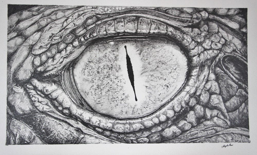 Pencil Painting by Angela Parr titled Watching and Waiting 1