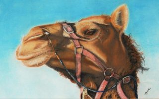 A Pastel painting by Angela Parr in the Realist style  depicting Animals and Desert with main colour being Blue and Brown and titled Dixie Doo