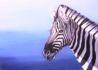An Acrylic painting by Angela Parr in the Realist style  depicting Animals with main colour being Black Blue and White and titled Looking for Mum