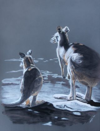A Pastel painting by Angela Parr in the Realist style  depicting Animals Bush and Sunrise with main colour being Brown Cream and Grey and titled Morning Light