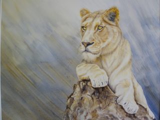 A Watercolour painting by Angela Parr in the Realist style  depicting Animals with main colour being Blue Brown and Cream and titled Pride Rock
