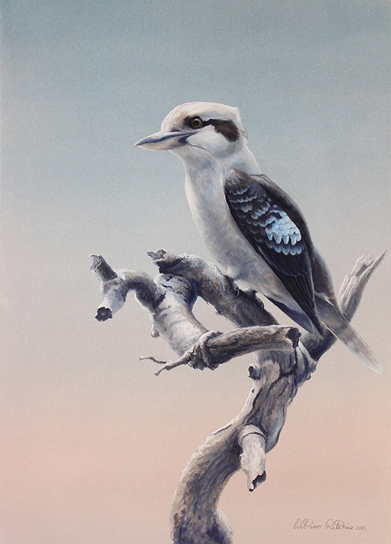  Painting by William Ritchie titled Kookaburra at sunset