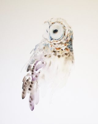 A Watercolour painting by Nadine Dudek in the Realist Impressionist style  depicting Animals Birds with main colour being Cream and Ochre and titled Barred Owl