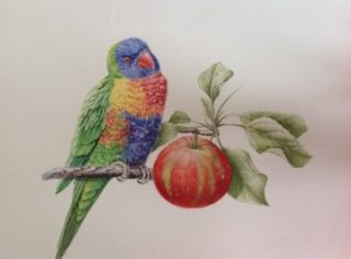 A Watercolour painting by Nola Sindel in the Realist style  depicting Animals Birds with main colour being Blue Cream and Green and titled “Will I, Won’t I?”