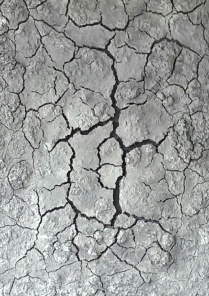 Oil Painting by Naji Sassine titled Earth Pain in Grey
