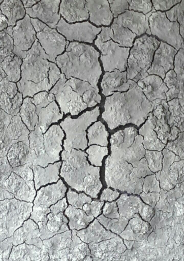 Acrylic Painting by Naji Sassine titled Earth Pain in Grey