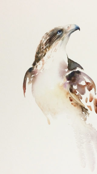 A Watercolour painting by Nadine Dudek in the Realist Impressionist style  depicting Animals Birds with main colour being Brown Ochre and Purple and titled Ferruginous Hawk