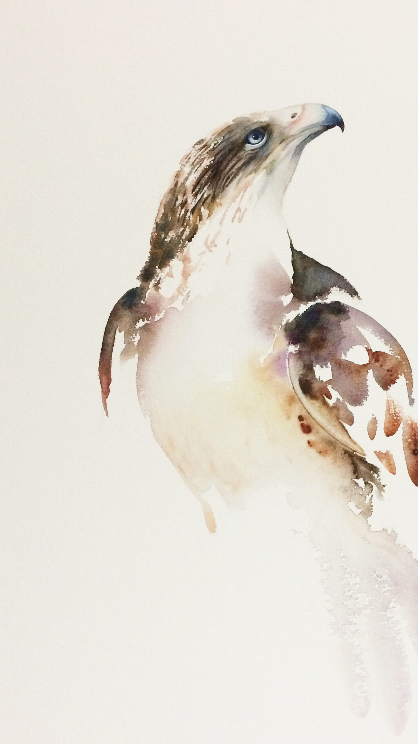 Watercolour Painting by Nadine Dudek titled Ferruginous Hawk
