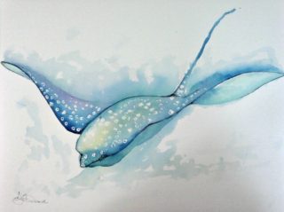 A Watercolour painting by Tracey L Dawes in the Impressionist style  depicting Animals Beach and Sea with main colour being Blue and White and titled Manta Ray