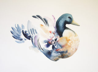 A Watercolour artwork by Nadine Dudek in the Realist Impressionist style  depicting Animals Birds with main colour being Blue Green and Ochre and titled Plumage