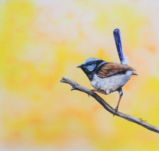 A  painting by Angela Parr in the Realist style  depicting Animals Birds with main colour being Blue and Yellow and titled Little Boy Blue