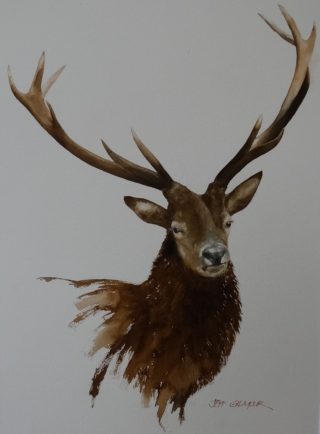 A Watercolour painting by Jeff Gilmour in the Realist style  depicting Animals with main colour being Brown and Grey and titled Stag