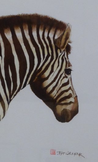 A Watercolour painting by Jeff Gilmour in the Realist style  depicting Animals with main colour being Brown and Grey and titled Zebra Portrait