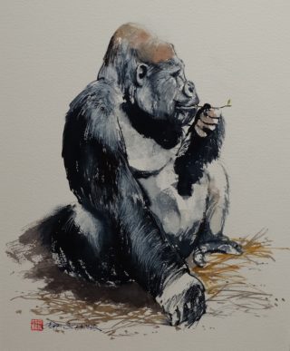 A Watercolour painting by Jeff Gilmour in the Realist style  depicting Animals with main colour being Black Brown and Grey and titled Gorilla