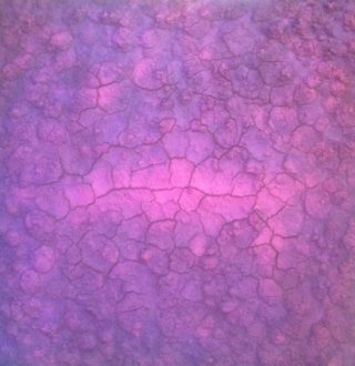A  painting by Naji Sassine in the Abstract style  with main colour being Pink and Purple and titled Abstract Study in Pink