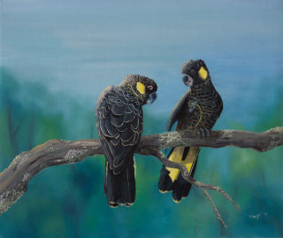 An Oil painting by Hazel Howie in the Realist style  depicting Animals and Birds with main colour being Black Blue and Green and titled Yellow Tailed Black Cockatoos