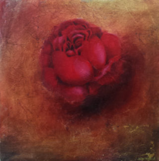 An Oil painting by Christopher McClelland Desert Flowers and Interior and titled Burnt earth and Rose #2