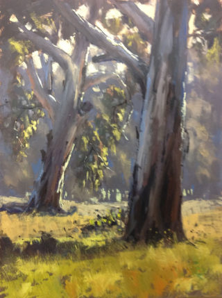 An Oil painting by John Rice in the Realist Impressionist style  depicting Landscape Rural and Trees with main colour being Blue Green and Grey and titled Putta Bucca Gums