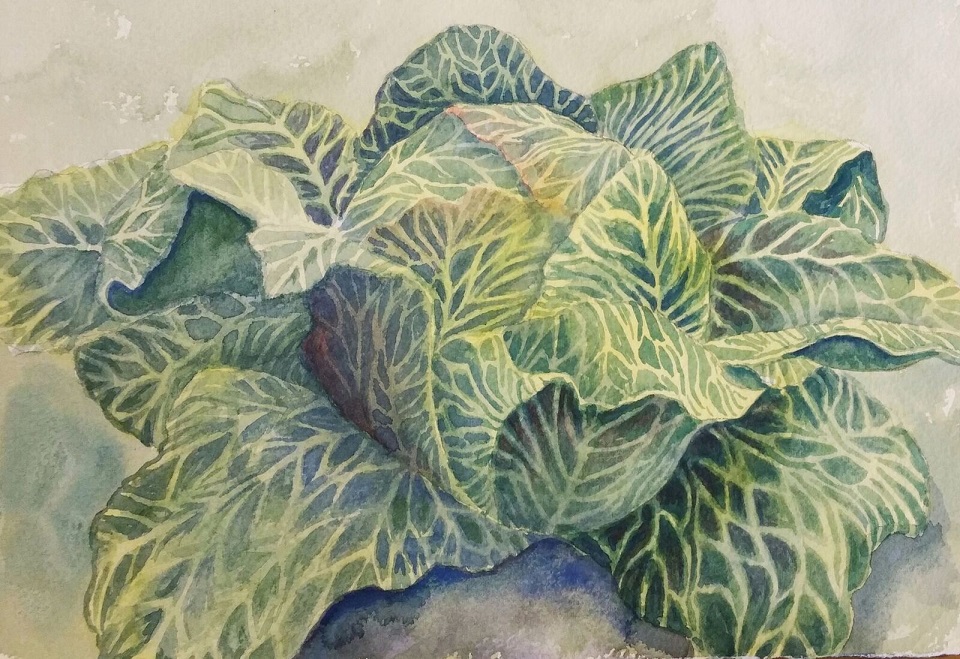 Watercolour Painting by Renee Garling titled Vegan Veins