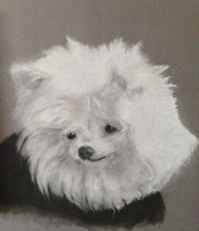 Charcoal Painting by Connie Wharton titled Snowie