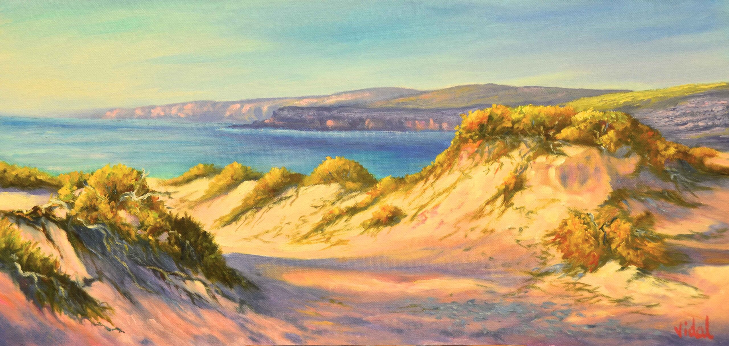 Oil Painting by Christopher Vidal titled Warm Shadows at Red Bank Beach, Port Lincoln SA