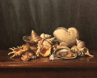 An Oil painting by Gregory R. Smith in the Realist style  depicting Still Life Beach Interior and Sea and titled Shells - Some so Rare
