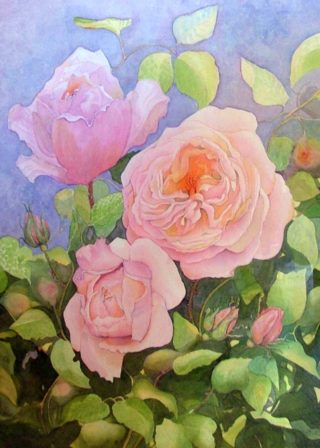 A Watercolour artwork by Glenys Gaston in the Contemporary Realist style  depicting Flowers with main colour being Blue Green and Pink and titled Constance Spry Roses