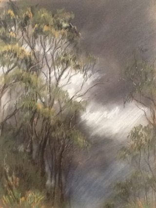 A   painting  by Australian artist Helen Paulucci, Trees and titled Gumtrees and Stormy Sky