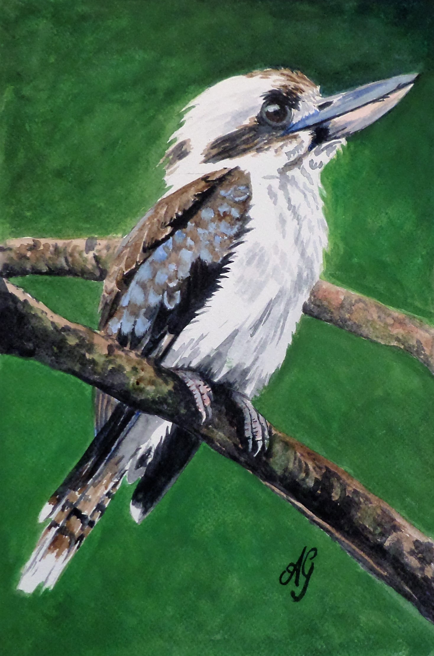 Acrylic Painting by Anne Gardner titled Old Man Kookaburra