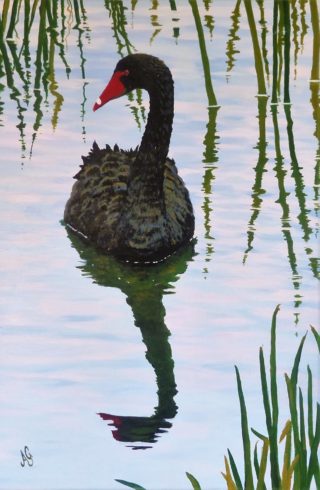 An Acrylic painting by Anne Gardner in the Realist Impressionist style  depicting Animals Birds and Lake with main colour being Black Blue and Green and titled On Reflection