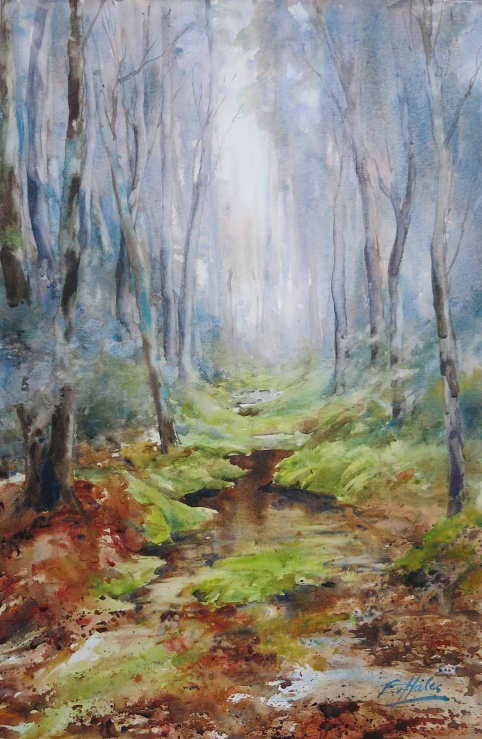 Watercolour Painting by Ev Hales titled Tassie Forest Mood