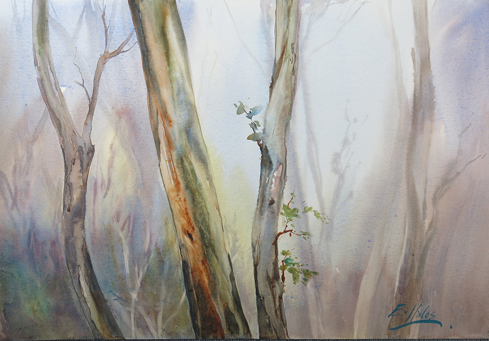 Watercolour Painting by Ev Hales titled Snow Gums in the Mist