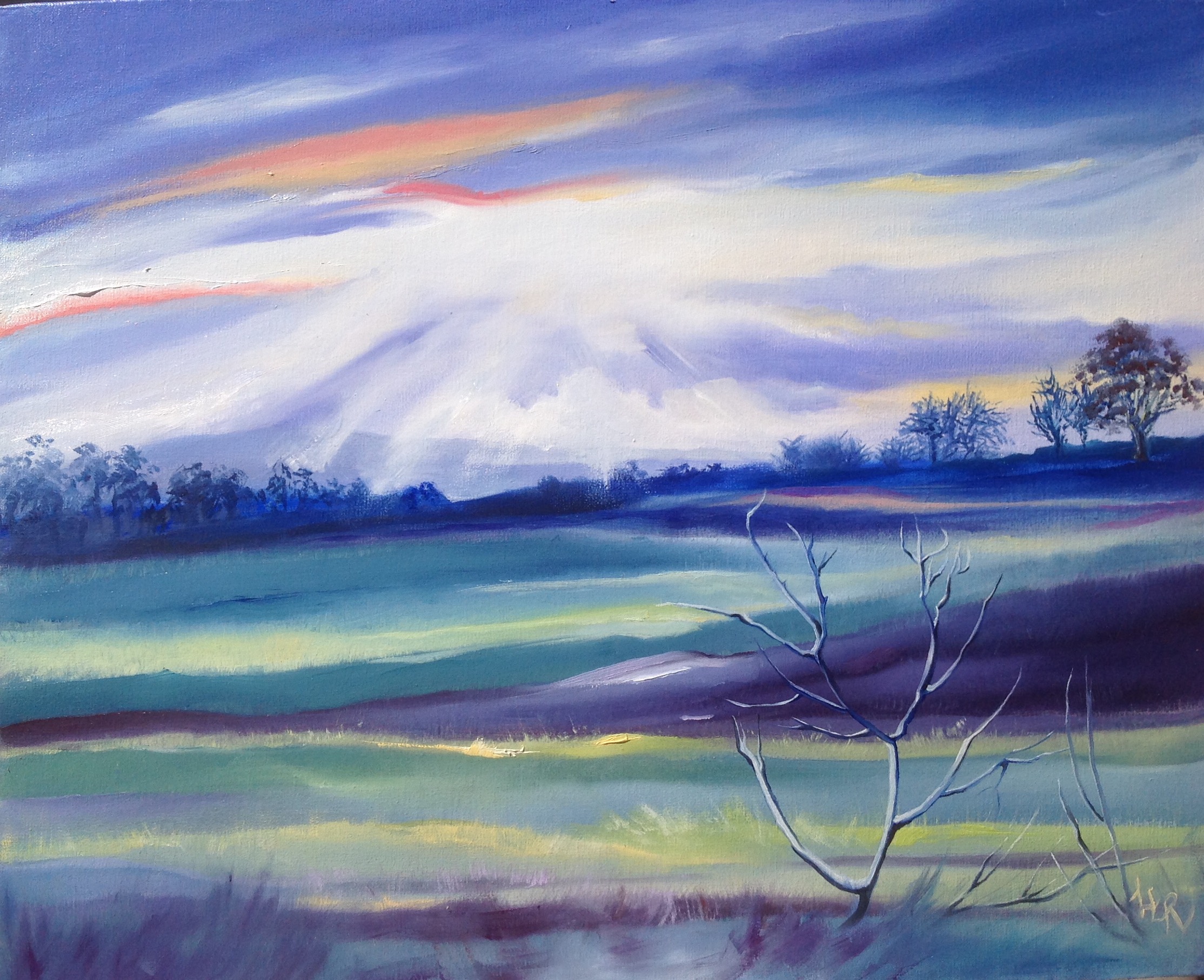 Oil Painting by Lesley Rosochodski titled Sunset Over the Paddocks