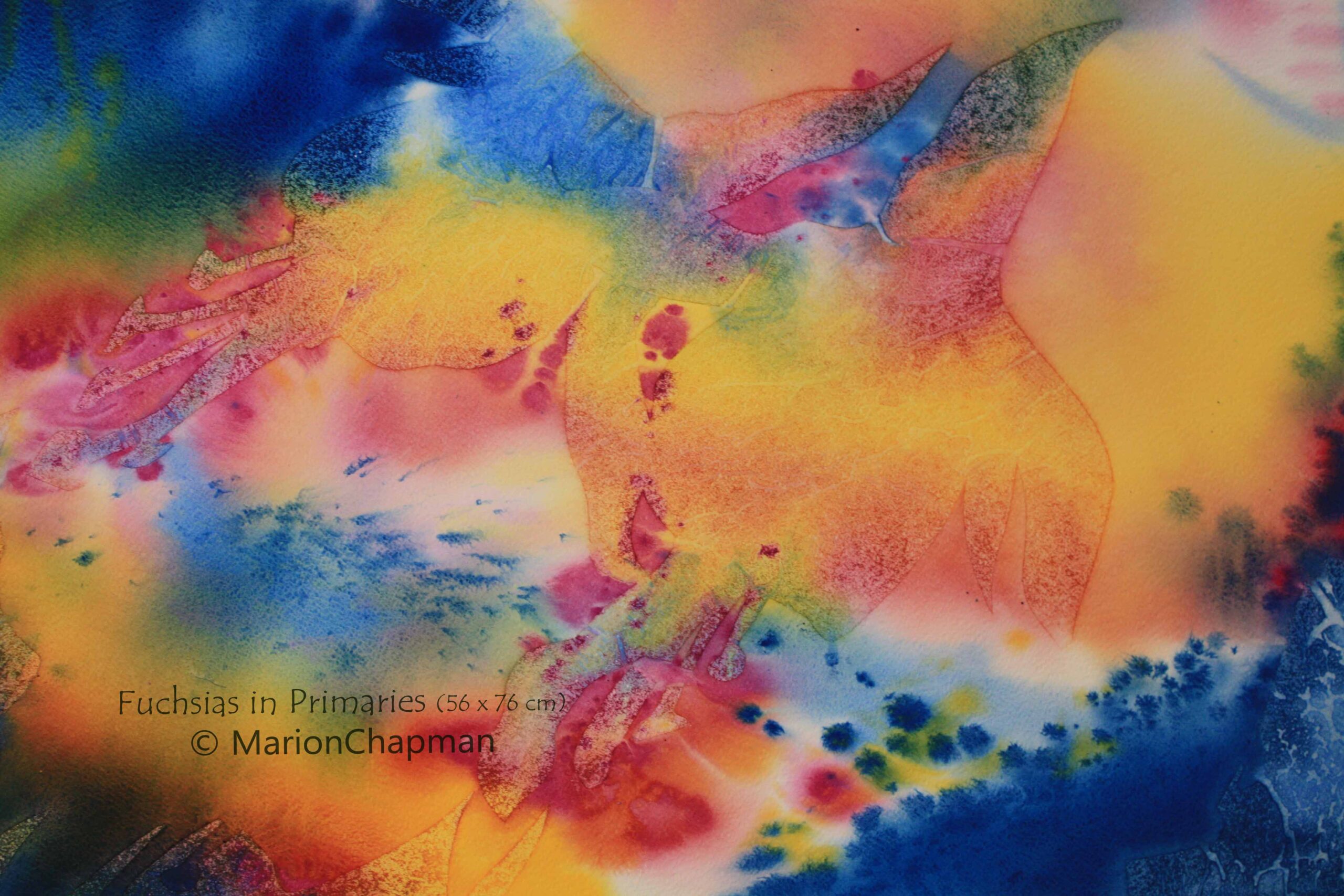 Watercolour Painting by Marion Chapman titled Fuchsias in Primaries