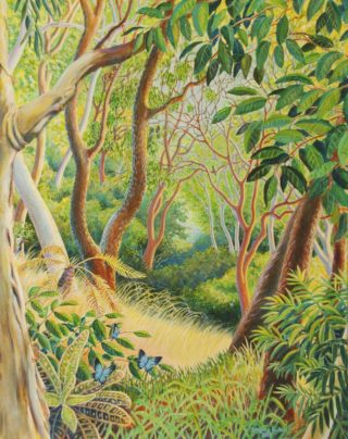 An Acrylic painting by Gregory Pastoll depicting Trees Animals Birds and Fantasy with main colour being Brown Green and Yellow and titled Forest in Far North Queensland