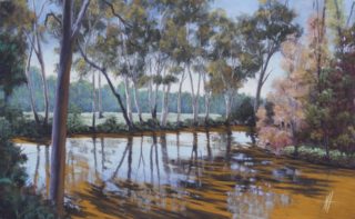 A Pastel artwork by Nicki Hall in the Realist Impressionist style  depicting Landscape Hills Swamp and Trees with main colour being Blue Green and Grey and titled Whittakers Creek