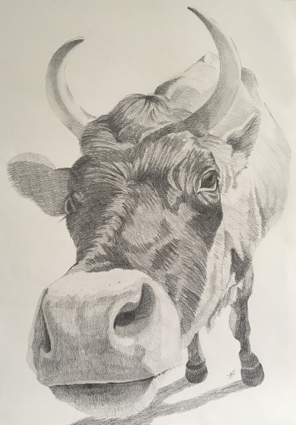 Pencil Painting by Nicki Hall titled Say Cheese