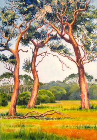 A Watercolour painting by Gregory Pastoll in the Realist style  depicting Trees Farmland with main colour being Brown Gold and Green and titled Trees near Margaret River, WA