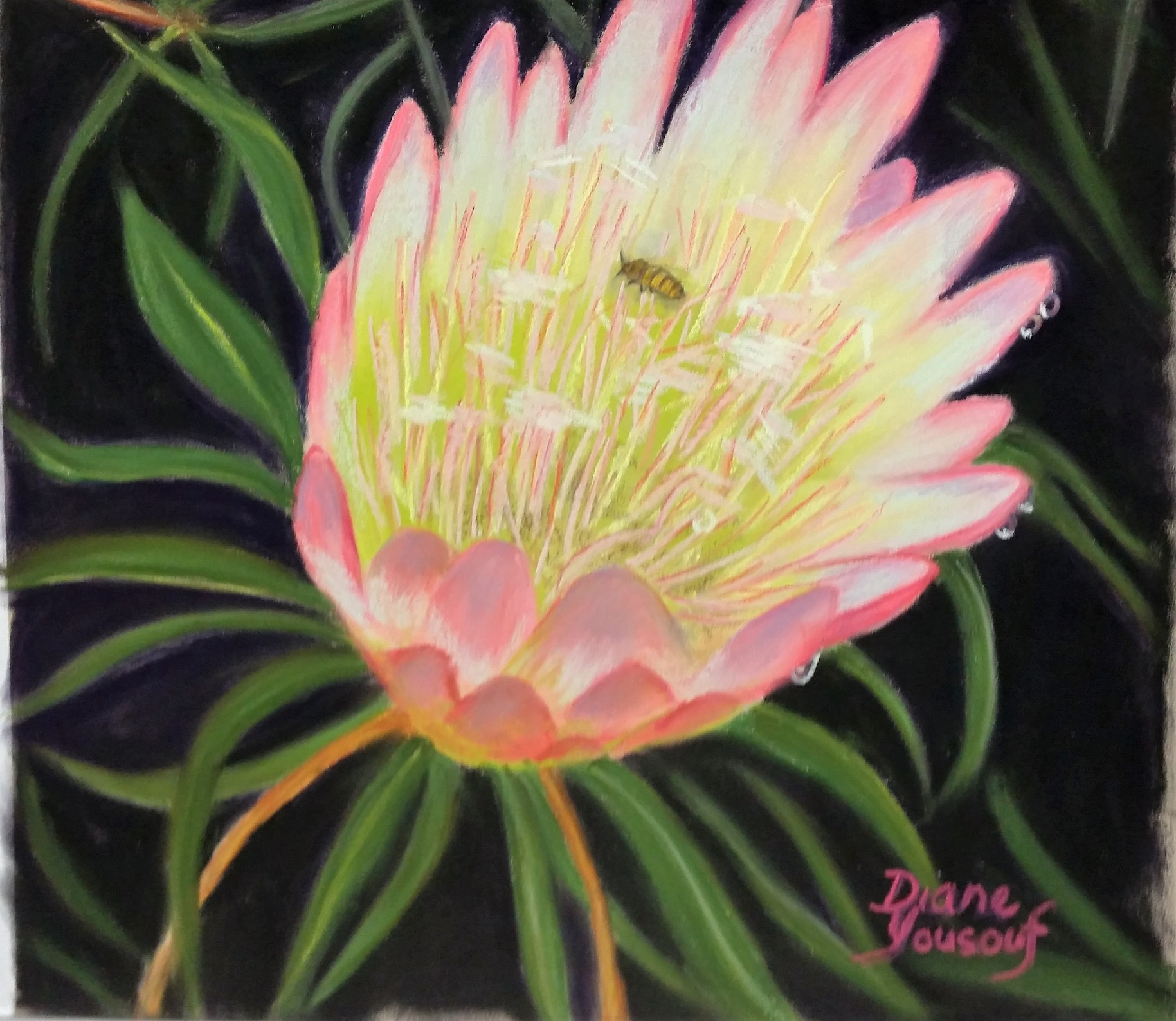 Pastel Painting by Diane Yousouf titled Sweet Nectar