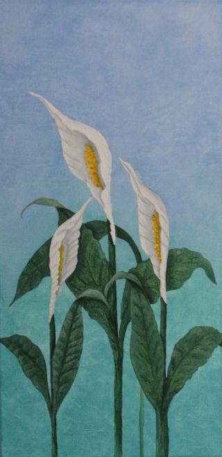 An Acrylic painting by Julie-Anne Gatehouse in the Contemporary Realist style  depicting Flowers with main colour being Blue Green and White and titled Peace Lillies on Blue