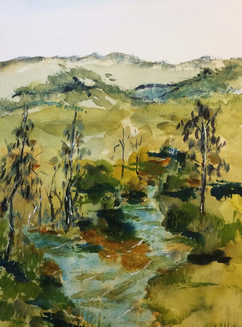 Watercolour Painting by Margaret Morgan-Watkins titled Hunter River NSW