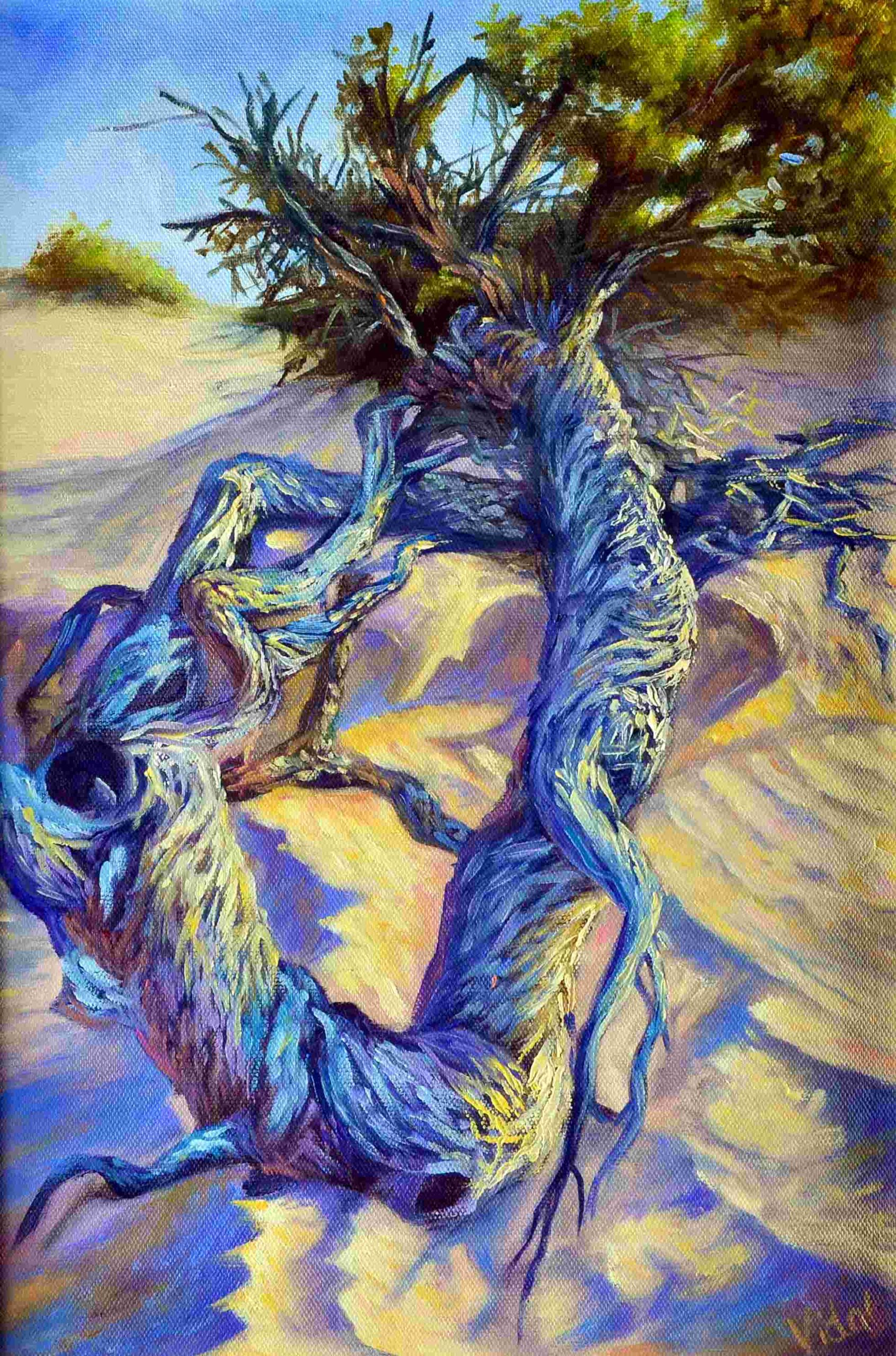 Oil Painting by Christopher Vidal titled Driftwood on sandy beach - Redbank beach SA