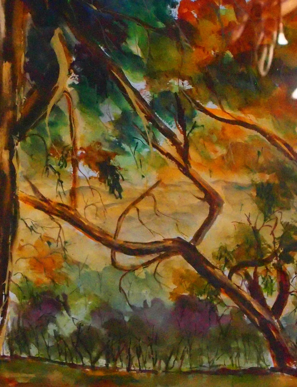  Painting by Margaret Morgan-Watkins titled Through the Murchison Gap